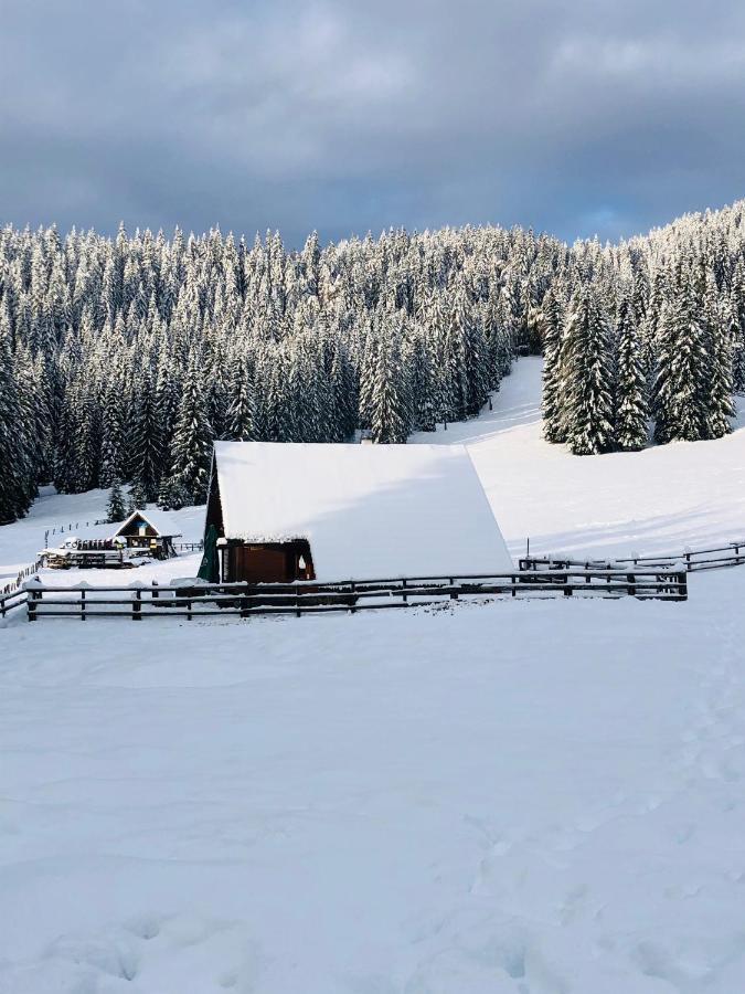 Cosy Chalet On Pokljuka - Brunarica Tinkara Zgornje Gorje Exterior photo