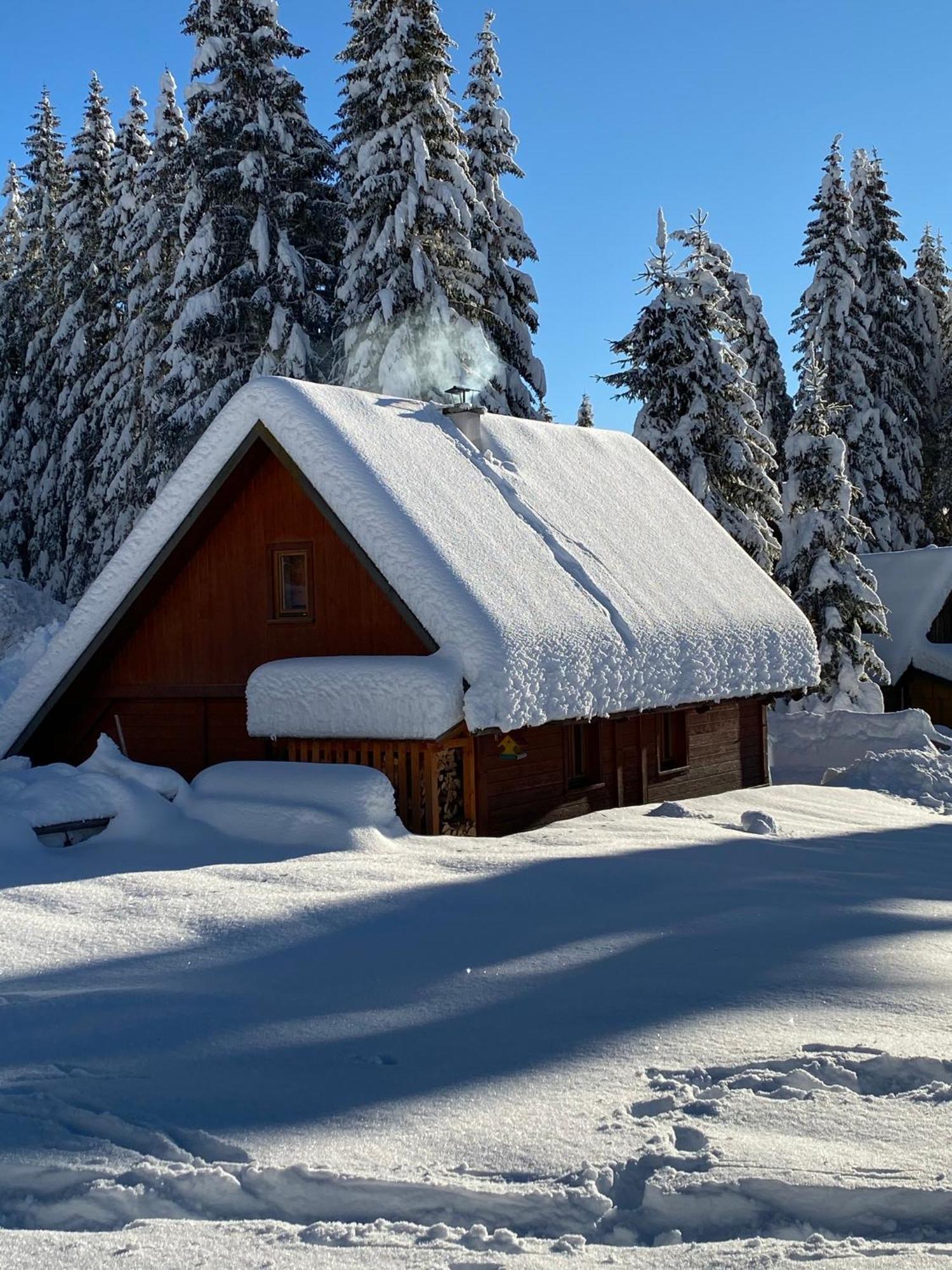 Cosy Chalet On Pokljuka - Brunarica Tinkara Zgornje Gorje Exterior photo